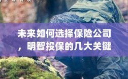 未来如何选择保险公司，明智投保的关键因素解析