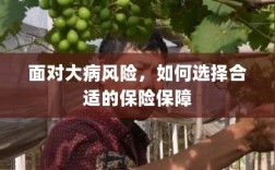 面对大病风险，如何选择适合的保险保障策略