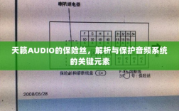 天籁AUDIO保险丝，解析与音频系统保护的关键要素
