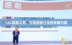 TAC保险公司，引领保险行业的先锋典范