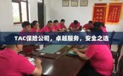 TAC保险公司，卓越服务，信赖的安全之选