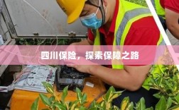 四川保险，探索全方位保障之路