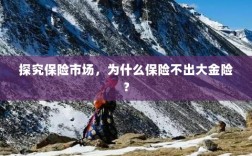 探究保险市场，为何缺乏大额保险金险种？