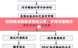 如何向法院追诉保险公司，详细步骤与策略指南