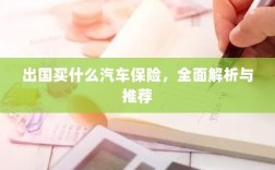 全面解析与推荐，出国应该购买哪些汽车保险？