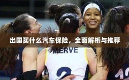 全面解析与推荐，出国应该购买哪些汽车保险？