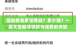 保险与保养关联解析，免费保养政策及费用探讨