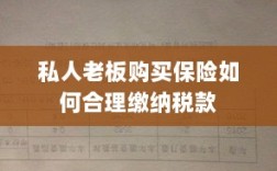私人老板购买保险如何合理缴税，策略与指南