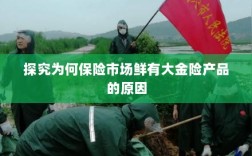 大金险产品稀缺，探究保险市场的现状与原因