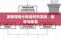 离婚保险分割约定详解与指导手册