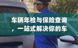 车辆年检与保险查询，一站式解决车辆管理所有疑虑