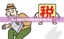 私人老板购买保险如何合理缴税，策略与指南