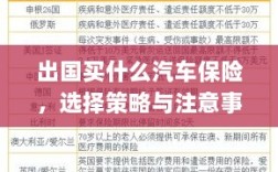 出国购车保险指南，选择策略与注意事项