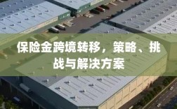 保险金跨境转移，策略、挑战及解决方案探讨