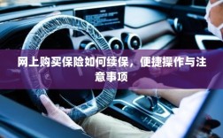 网上购买保险续保攻略，便捷操作及注意事项