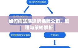 保险公司追诉流程与策略解析，法院途径指南