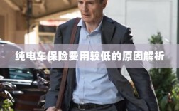 纯电车保险费用较低的原因探究