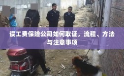 保险公司如何取证误工费，流程、方法与注意事项详解