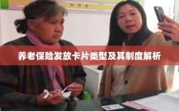 养老保险发放卡片类型与制度深度解析