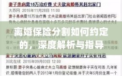 离婚保险分割深度解析与指导，约定要点及操作流程