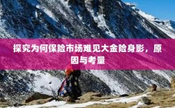 探究保险市场大金险身影缺失背后的原因与考量