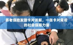 养老保险发放卡片全面解析，社会保障力量的见证