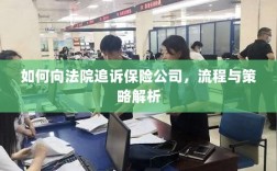 保险公司追诉流程与策略解析，法院途径指南