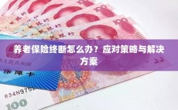 养老保险中断应对指南，解决方案与策略探讨
