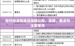 追诉保险公司流程及要点解析，法院途径、注意事项全解析