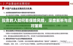 深度解析，投资者眼中的保险风险与应对策略