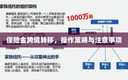 保险金跨境转移，操作策略及注意事项指南