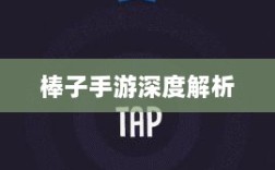 棒子手游，内涵与魅力的深度解析