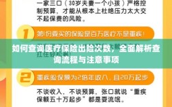全面解析，医疗保险出险次数查询流程与注意事项指南