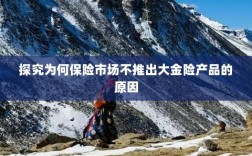 探究保险市场未推出大金险产品的原因分析