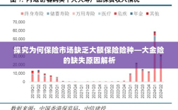 大额保险险种缺失解析，探究大金险市场缺失原因