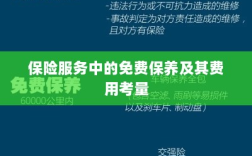 保险服务中的免费保养费用深度解析
