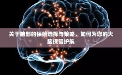 如何为大脑保驾护航，选择最佳脑部保险策略与方案