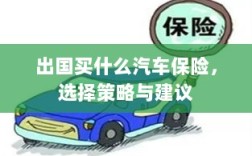 出国购车保险指南，选择策略与建议