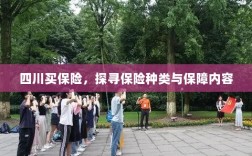 四川保险探秘，种类与保障内容全解析