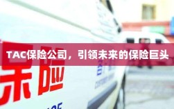 TAC保险公司，引领保险行业未来巨头之路