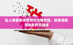 私人老板如何合理交保险税，探索保险与税务的交融之道