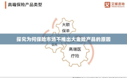 探究保险市场未推出大金险产品的原因分析