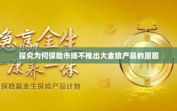 探究保险市场未推出大金险产品的原因分析