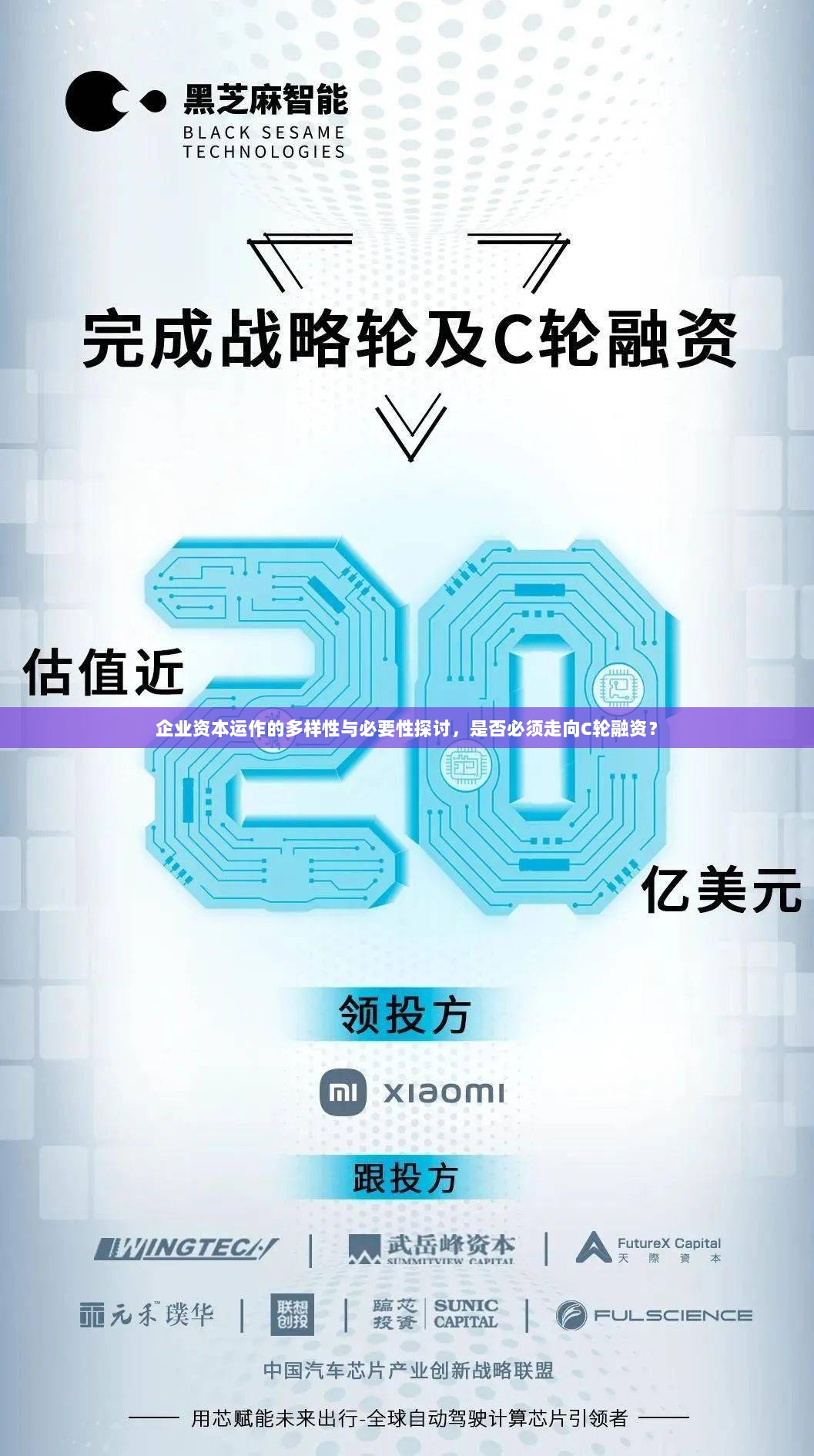 企业资本运作的多样性与必要性探讨，是否必须走向C轮融资？-图1