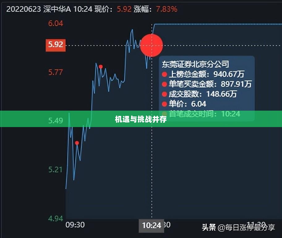 京山轻机的融资购买之路,机遇与挑战并存-图1 京山轻机的融资购买之路,机遇与挑战并存-图1