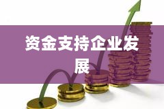 融资指导思想引领资金流动，助力企业发展新篇章-图1