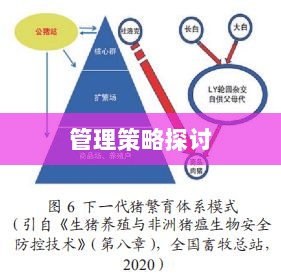 融资中的背书风险与管理策略探讨-图1