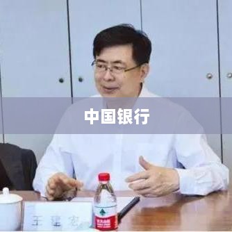 中国银行2024年度税后利润增长概况，实现利润2527亿元，同比增长2.58%-图1
