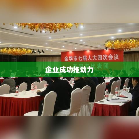 企业成功背后的推动力,融资金额超越决议的力量-图1 企业成功背后的推动力,融资金额超越决议的力量-图1