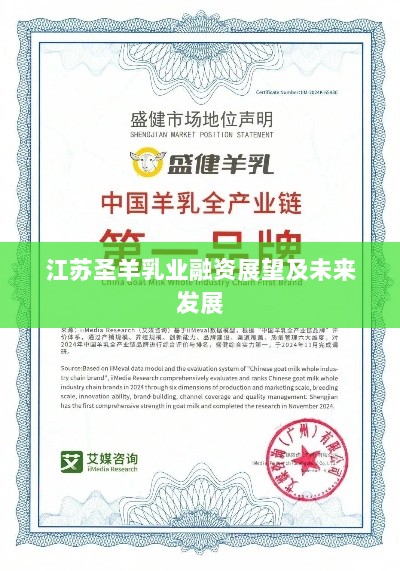 江苏圣羊乳业融资展望及未来发展-图1